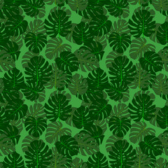 Naklejka na ściany i meble A set of seamless backgrounds with monstera leaves, vector grafic. 1000x1000