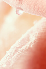 Close up of beautiful fresh rose  and dew ,Extreme macro shot with soft and very shallow depth of field .Background of love for Happy Women's, Mother's, Valentine's Day, birthday greeting card design.