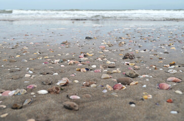 Fototapeta na wymiar Playa de caracolas marinas y las olas en el horizonte.