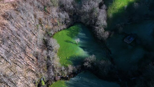 Winter landscape of forests and Pasiega cabins in the Pisue&ntilde;a River Valley. Pasiegos Valleys, Cantabria, Spain, Europe