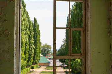 Old window overlooking the street and green trees. A window without glass in a container.