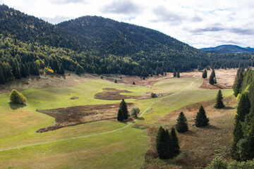 A la lisi&egrave;re de la R&eacute;serve naturelle des Hauts Plateaux du Vercors, Herbouilly enchante le randonneur par la beaut&eacute; de ses sentiers en sous-bois et ses prairies paisibles.