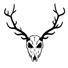 Skull of deer. Hunting trophy with horns. Antler of stag or reindeer. Scary black and white drawing for Halloween.