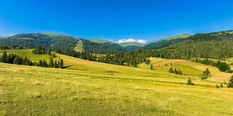 Fototapeten rural landscape in mountains on a summer morning. wonderful nature scenery with forested rolling hills and green grassy meadows on a sunny day. © Pellinni