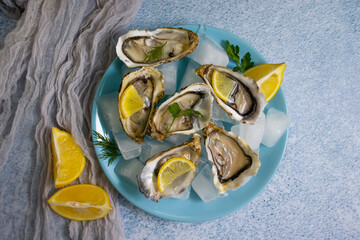 Fresh oysters oyster pieces lemon ice