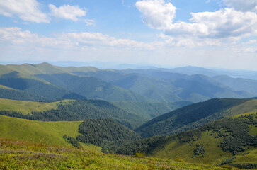 Panorama of mountains covered with dense forests in the rays of sunlight on a summer day. Carpathians, Ukraine