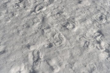 texture of snow