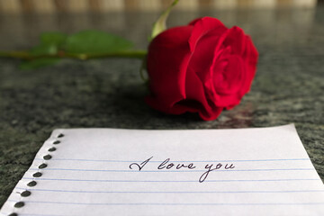 A Red Rose on a Granite Counter with an I Love You Note 
