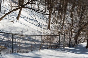 fence and forest in winter