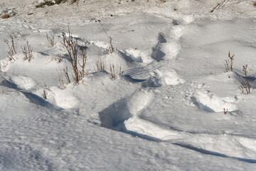 snow with tracks