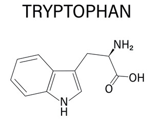 Tryptophan or l-tryptophan, Trp, W  amino acid molecule. Skeletal formula.
