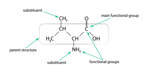 Chemical formula. Substituent. Vector illustration