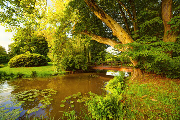 Fototapeta na wymiar Bad Muskau ogród park platan drewniany most zieleń drzewa Park Mużakowski Niemcy, Saksonia