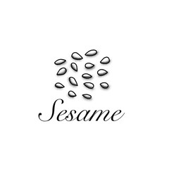 Sesame illustration. Healthy spice cooking ingredient.