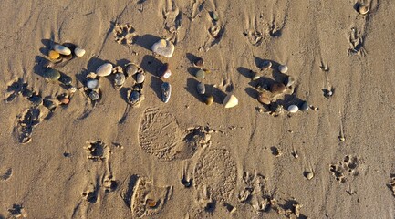 Fototapeta na wymiar Hornsea beach in East Yorkshire in England UK on a sunny day smile in pebble sand pattern 