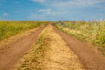 Yellow field and road with blue sky.