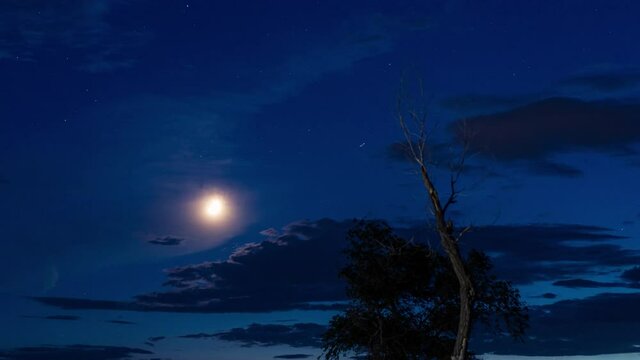 time lapse of crescent moon in the summer night sky shining on bare trees in wyoming