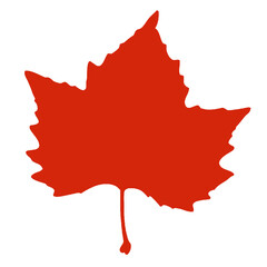A silhouette of a maple leaf
