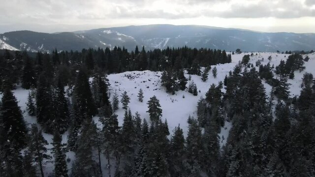 Ilgaz Images Browse 106 Stock Photos, Vectors, and Video Adobe Stock