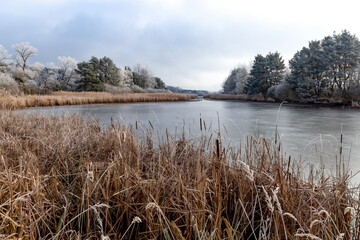 The frozen winter lake in wood under snow.