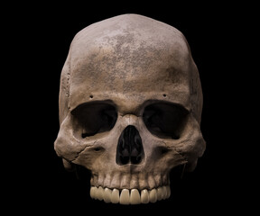 Upper part of an anatomically accurate Homo sapiens skull anterior or front view isolated on black background 3D rendering illustration. Human anatomy, medicine, biology, science concept.