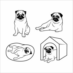 pug dog pose illustration