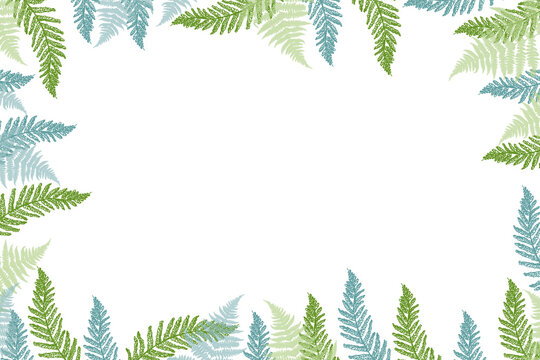 Ramka z liści paproci na białym tle.