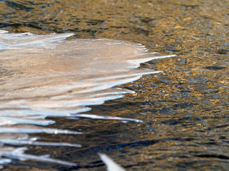 River shoreline during winter