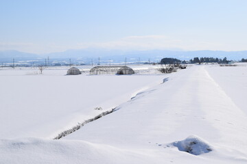Fototapeta na wymiar 豪雪地方の雪景色 山形県庄内