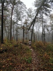 Perfect Fall environments in Tallulah Gorge State Park