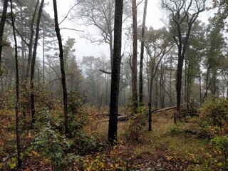 Obraz premium Perfect Fall environments in Tallulah Gorge State Park