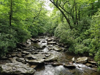 Obraz premium Stunning visuals from the backcountry of Smoky Mountains National Park