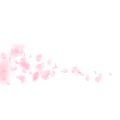 Fototapeta na wymiar Sakura petals falling down. Romantic pink flowers comet. Flying petals on white square background. Love, romance concept. Popular wedding invitation.
