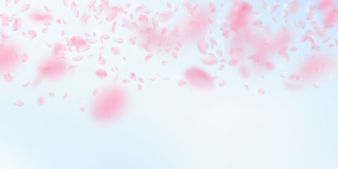 Sakura petals falling down. Romantic pink flowers gradient. Flying petals on blue sky wide background. Love, romance concept. Majestic wedding invitation.