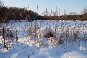 lake in winter