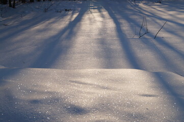 tracks in snow