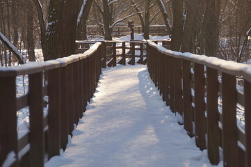 bridge in winter