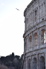 Coliseum in Rome 