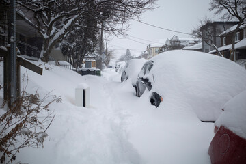 Toronto, Ontario / Canada - January 17, 2022 - Toronto St Clair West sideroad with cars covered on day of snowstorm