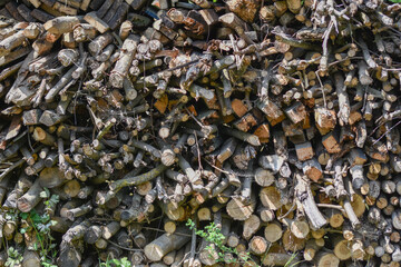 stack of dry wood for fire in Bistrita, Romania 2022 