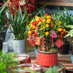 Lucky knot hanging on flower for Chinese new year greeting,Chinese character means good blessing for new year