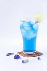blue tea from butterfly pea flower (asian pigeonwings)