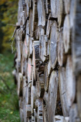 Holzstapel Wald