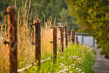 Elektrozaun Zaun im Sonnenuntergang Wiese Weide Feld Eifel Weg © Martin