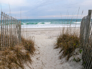Seascape from the dunes