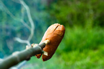 pipe