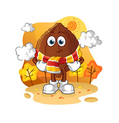 Obraz na płótnie Canvas cacao in the autumn. cartoon mascot vector