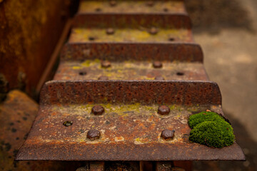 Old rusty abandoned equipment, tractor, with moss on the rusted tread