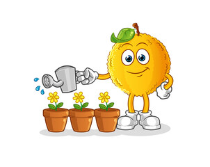 jackfruit watering the flowers mascot. cartoon vector