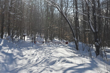 Mont Singer Sentier Découvertes 22 Janvier 2022